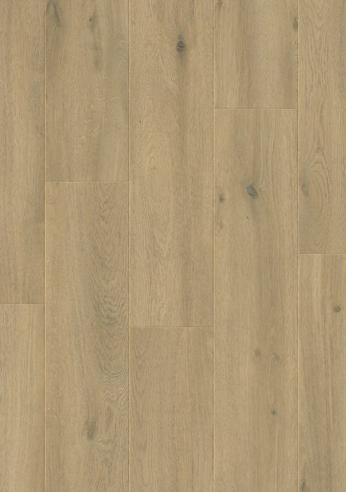 Hoomline Laminaat | Elite XL V4 | Geul 6082 | 4V-Groef