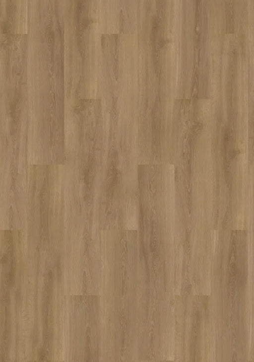 mFLOR River Oak 63022 Danube | Dryback Lijm PVC