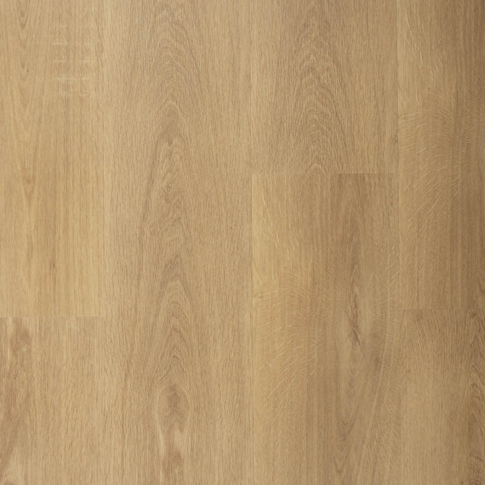 Sense G955 | Click PVC Rigid