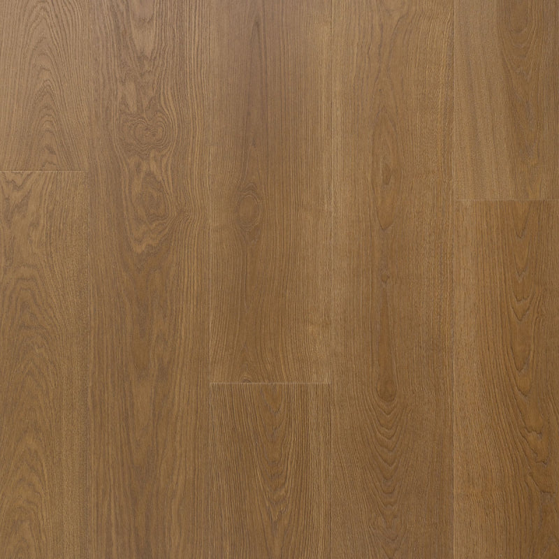 Staal van Solide plank Salie | Douwes Dekker | Pressed bevel 4V-Groef