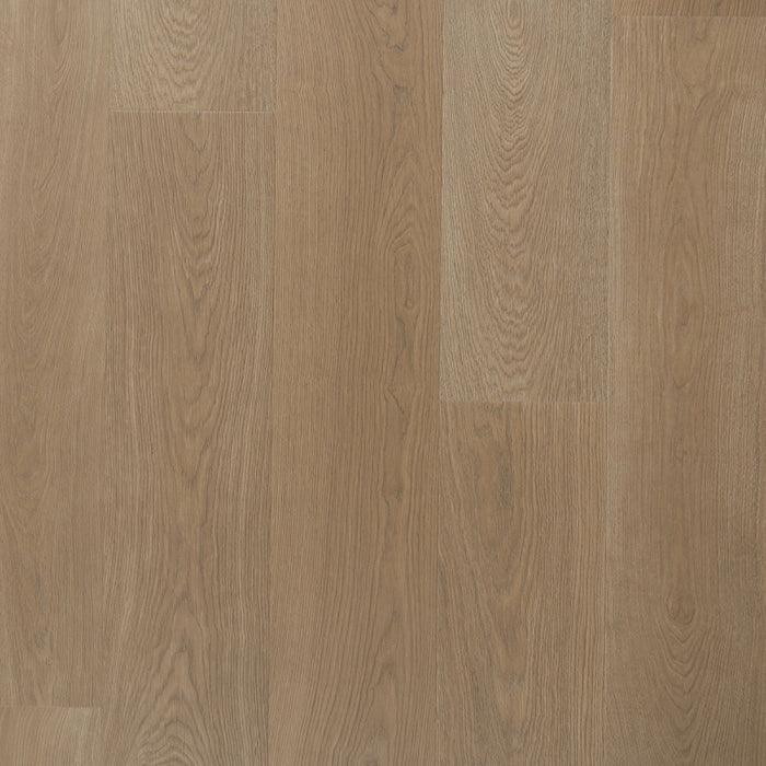 Solide plank Kervel | Douwes Dekker | Pressed bevel 4V-Groef