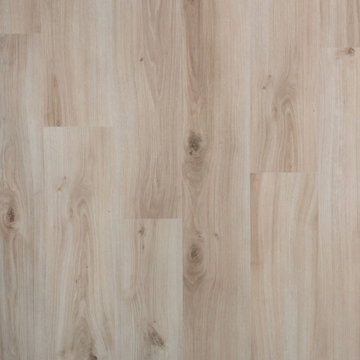 Plank Gember | Douwes Dekker | Zonder V-groef
