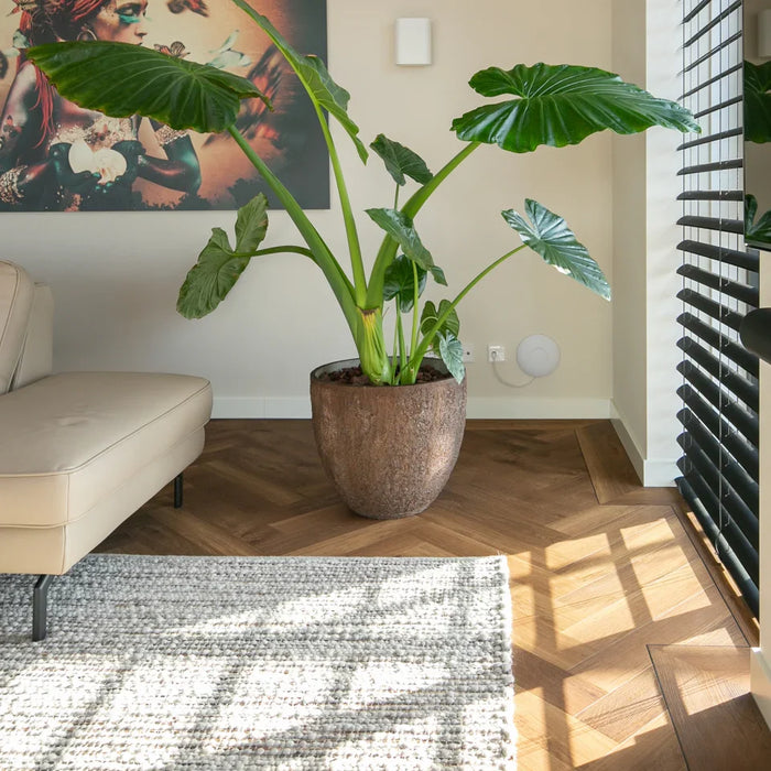 Welke plinten moet ik kiezen?