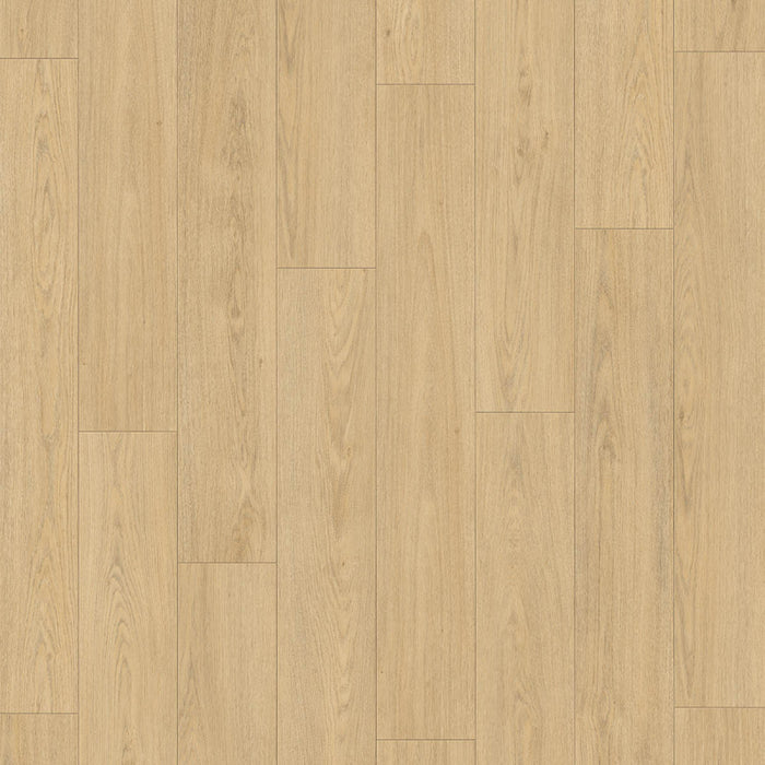 Douwes Dekker Brede Plank Truffel | Laminaat 2V-Groef