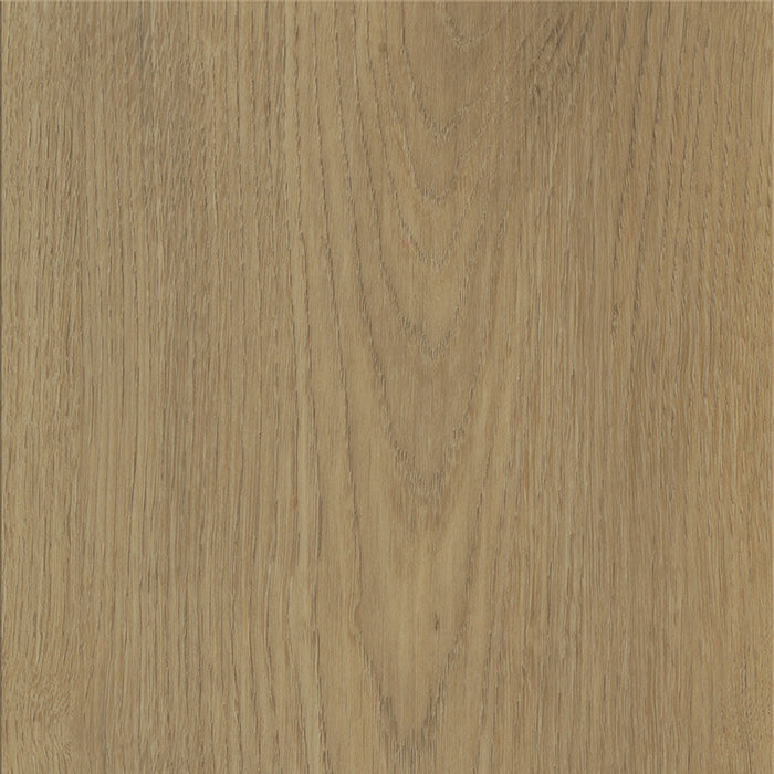 mFLOR 62335 Colton Ralph - Dryback Plak PVC