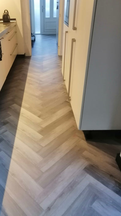 mFLOR 40828 Parva Broad Leaf Grey Sycamore | Visgraat PVC | Dryback