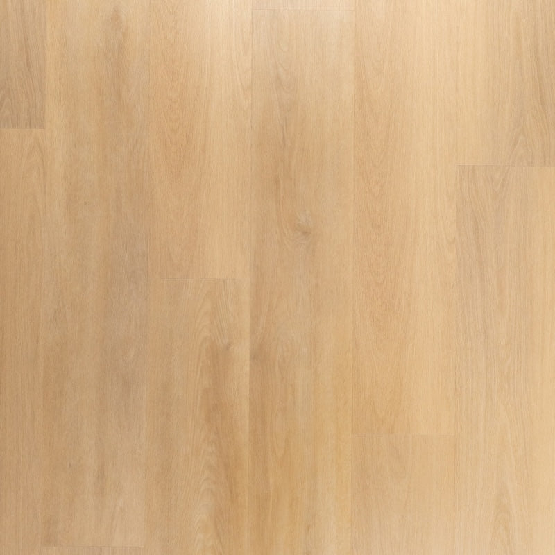 Riante Plank Brioche | Douwes Dekker | Dryback Plak PVC