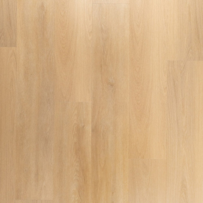 Riante Plank Brioche | Douwes Dekker | Dryback Plak PVC