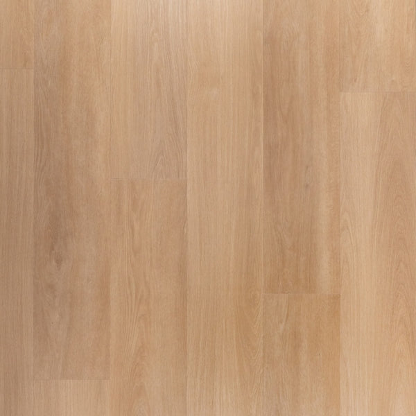 Riante Plank Tompouce | Douwes Dekker | Klik PVC Rigid