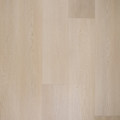 Douwes Dekker Sinaasappel plank | Dryback Plak PVC