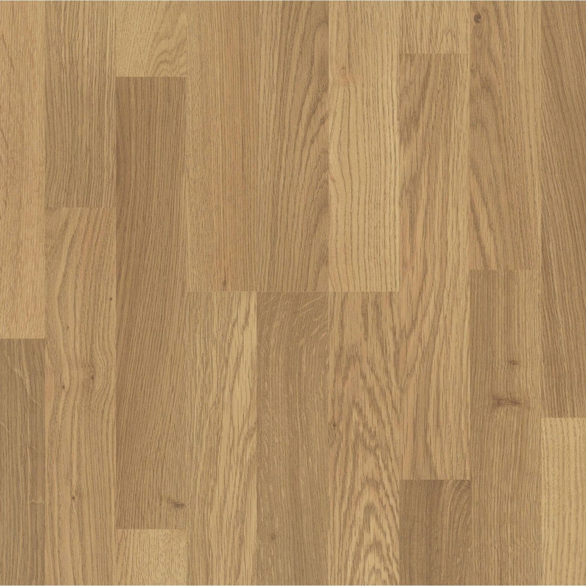 PARADOR Basic 400 Eiken Natuur - Laminaat