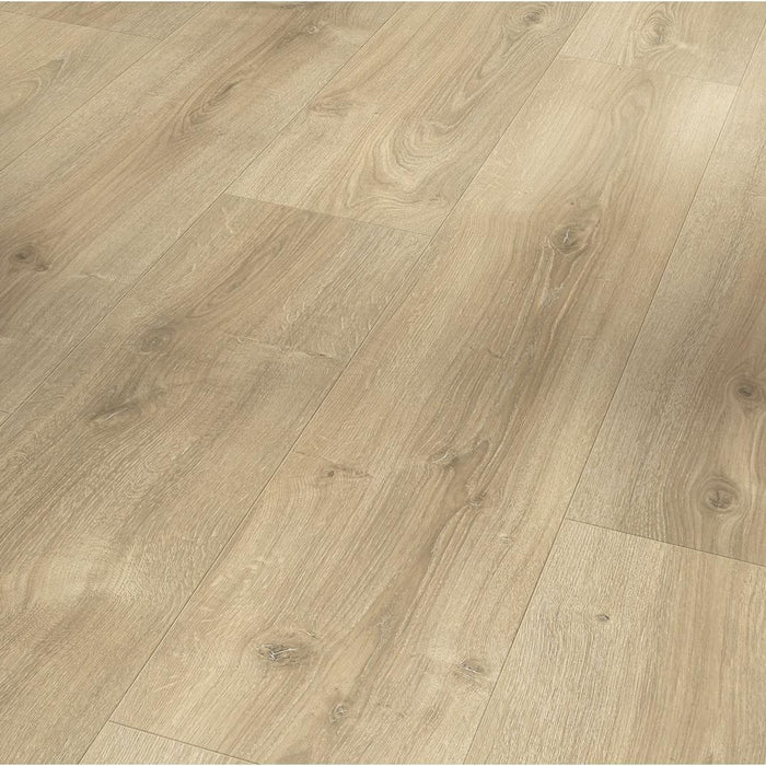 PARADOR Basic 600 XS Eiken Nova licht gekalkt - Laminaat