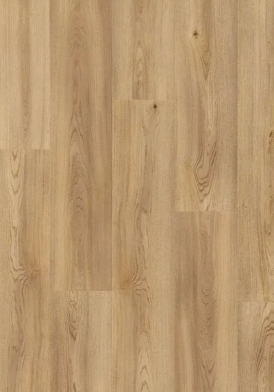 Beautifloor Laminaat | Dallas Katie | 4V-Groef