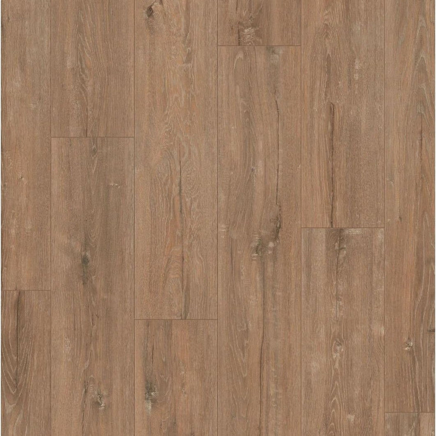 SAFFIER Estrada Hydro EST426H Forest Oak - Laminaat