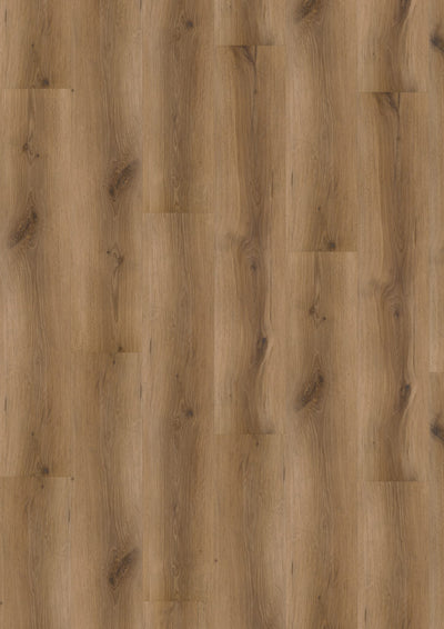 Vivafloors 5002 | Eiken | Click PVC Rigid