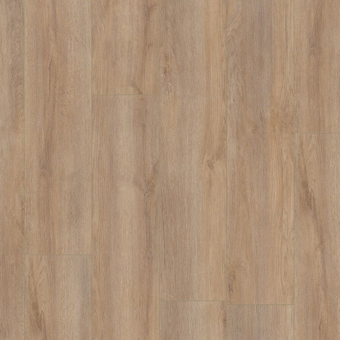 Ambiant Prestige oak Warm eiken - Laminaat
