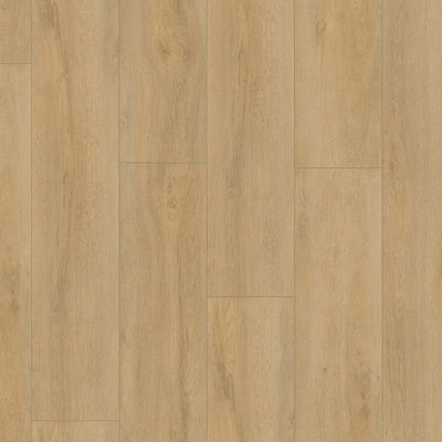 Ambiant Prestige oak Natuur eiken - Laminaat
