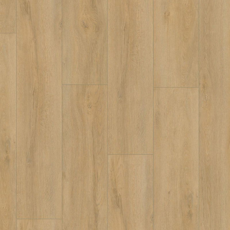 Staal van Ambiant Prestige oak Natuur eiken - Laminaat