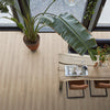 FloorLife Queens Naturel eiken - Laminaat