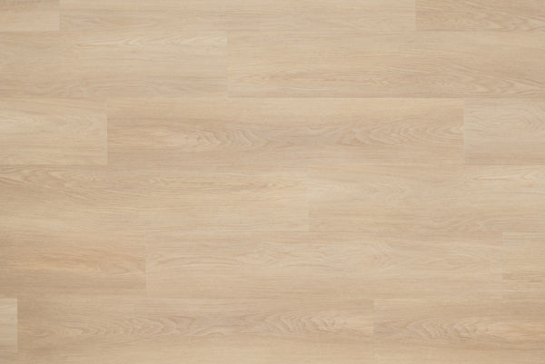 Floer Natuur Noordwijk Natuur - Dryback Plak PVC