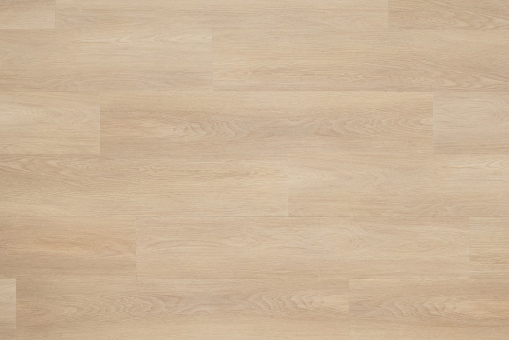 Floer Natuur Noordwijk Natuur - Dryback Plak PVC