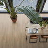 FloorLife Newham Beige - Dryback Plak PVC