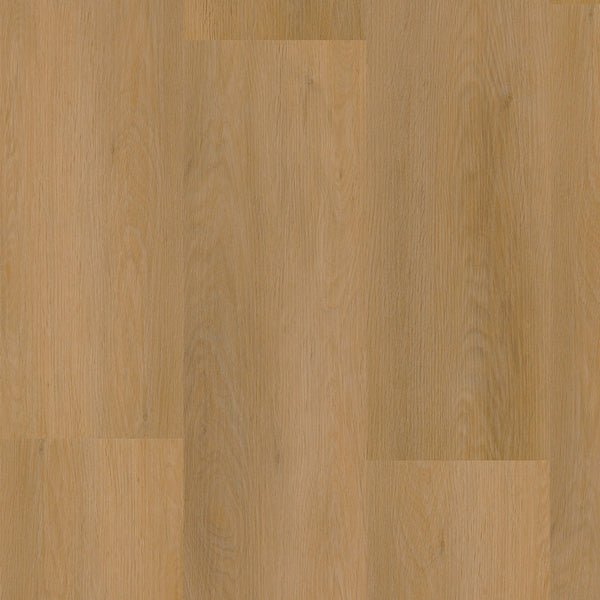 Ambiant Sentima Dark oak | Dryback Lijm PVC