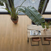FloorLife Newham Dark oak - Plank Click PVC