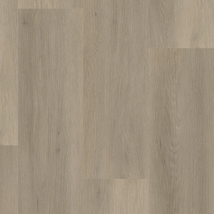 Ambiant Sentima Smoky | Dryback Lijm PVC