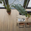 FloorLife Leyton Natural oak - Dryback Plak PVC