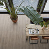 FloorLife Parramatta Smoky - Plank Click PVC
