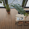 FloorLife Parramatta Warm brown - Plank Click PVC
