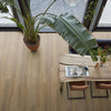 FloorLife Leyton Dark oak - Plank Click PVC