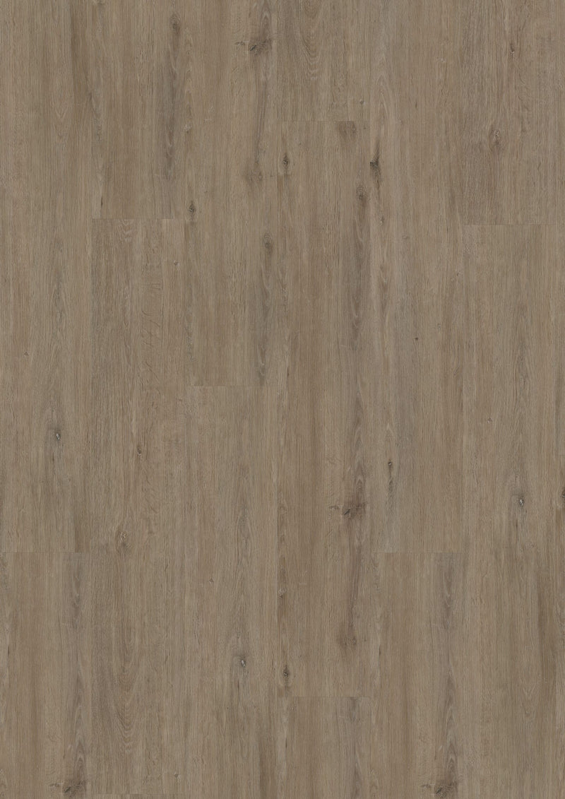 Staal van Vivafloors 6504 Eiken - Dryback Plak PVC