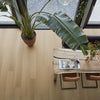 FloorLife Fulham Warm oak - Dryback Plak PVC