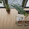FloorLife Fulham Natural oak - Plank Click PVC