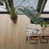 FloorLife Greenwich Warm oak - Dryback Plak PVC