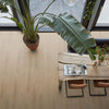 FloorLife Merton Natural oak - Dryback Plak PVC