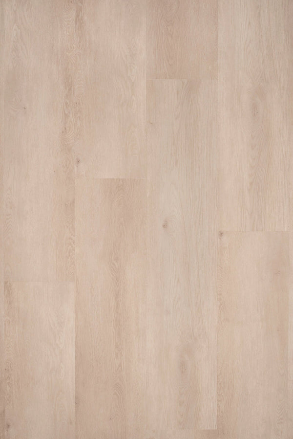 Floer Witte Eik - Dryback Plak PVC