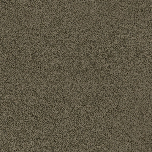 Ambiant Louisville vloerkleed op maat kleur Olijf 0912