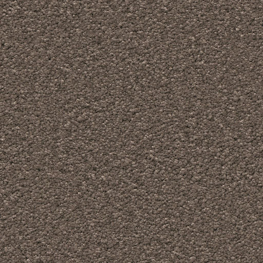 Ambiant Newport vloerkleed op maat kleur Bruin 0600