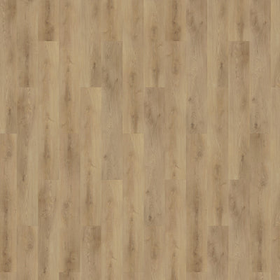 mFLOR 62336 Colton Tyler - Dryback Plak PVC