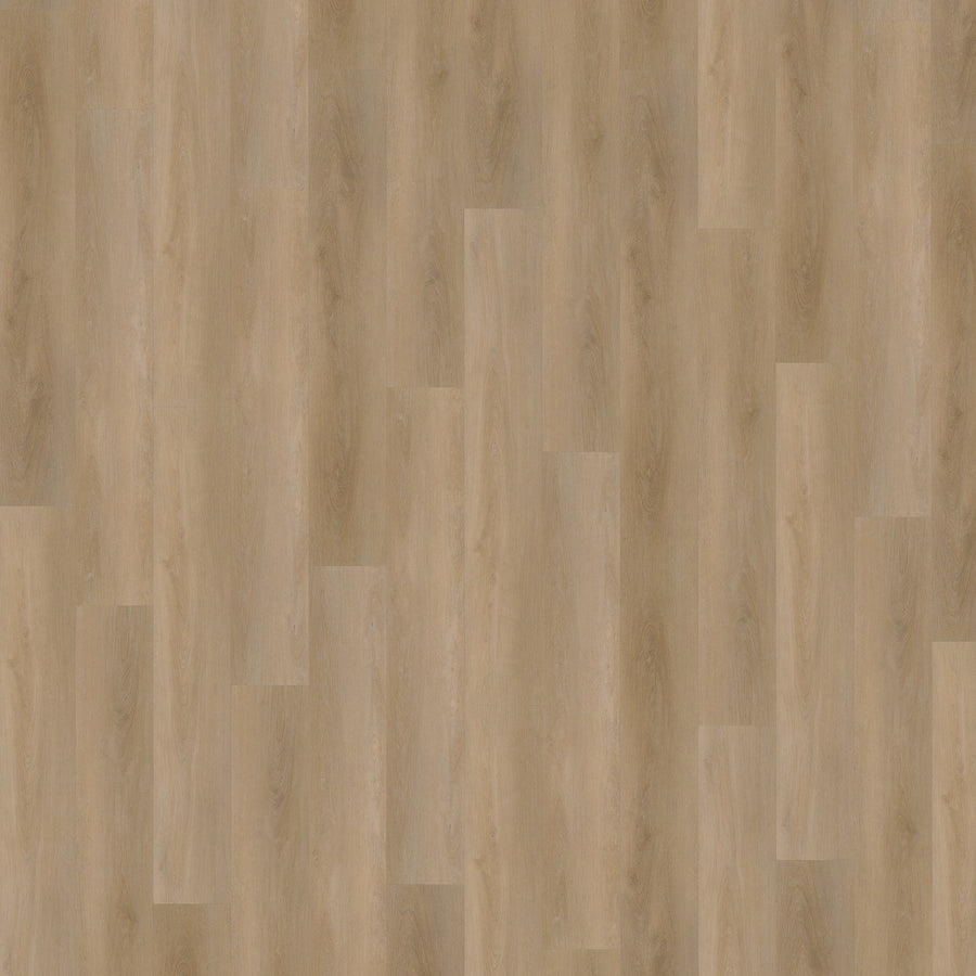 Belakos Attico 810 | Rigid Click PVC