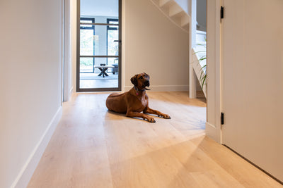 Belakos Attico 870 | Rigid Click PVC