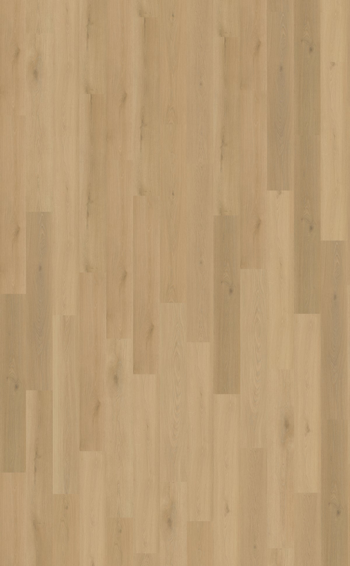 Belakos Borgo Plank 300 | Dryback Lijm PVC