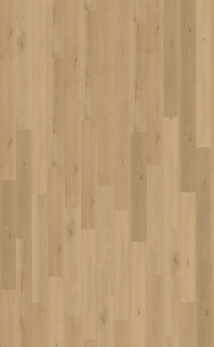 Belakos Borgo Plank 300 | Rigid Click PVC