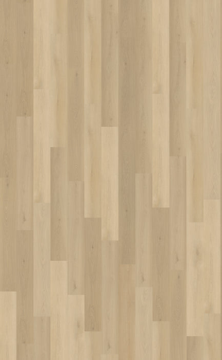 Belakos Borgo Plank 310 | Rigid Click PVC