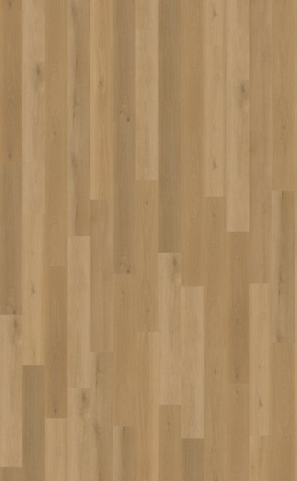 Belakos Borgo Plank 320 | Rigid Click PVC