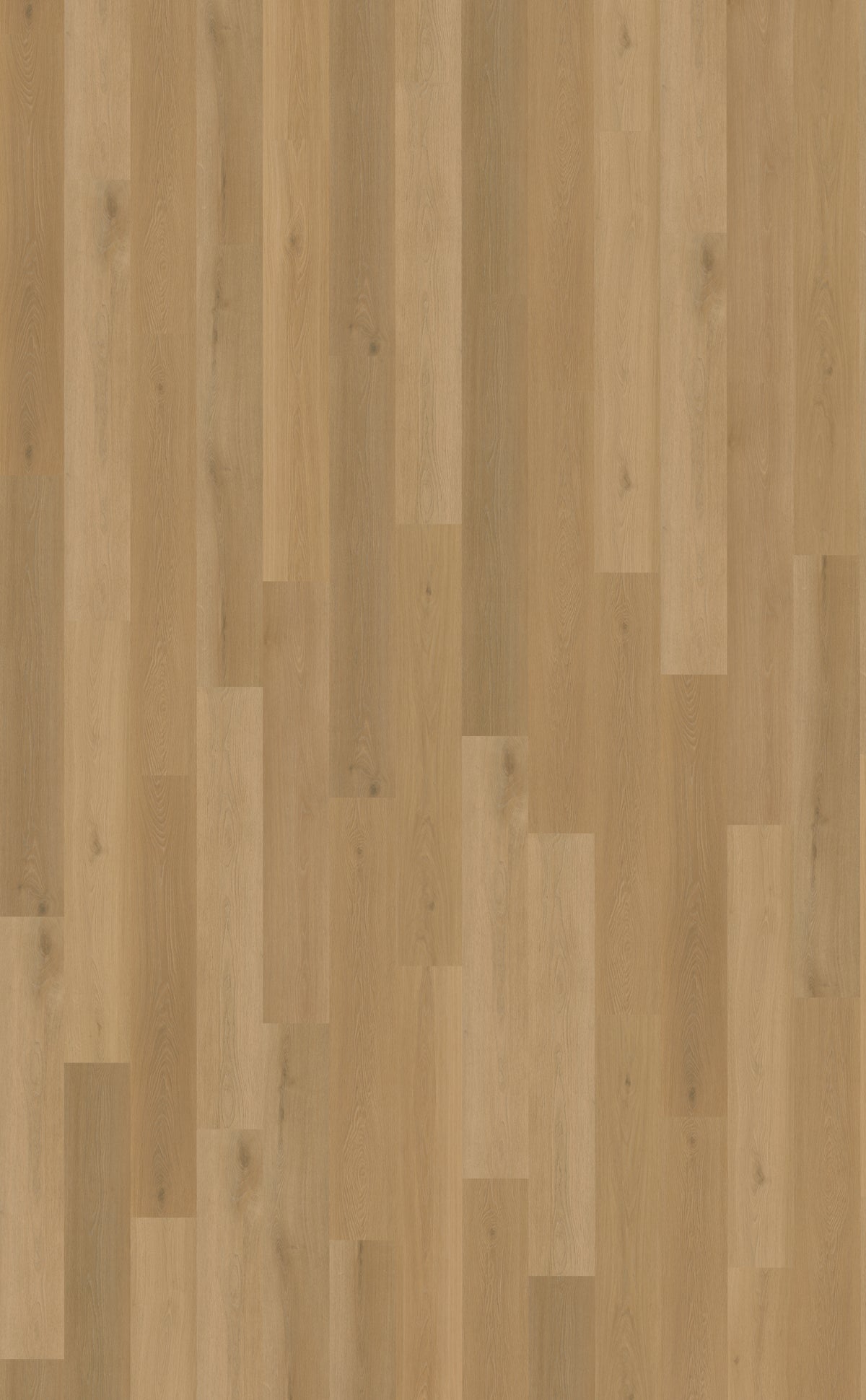 Belakos Borgo Plank 320 | Dryback Lijm PVC