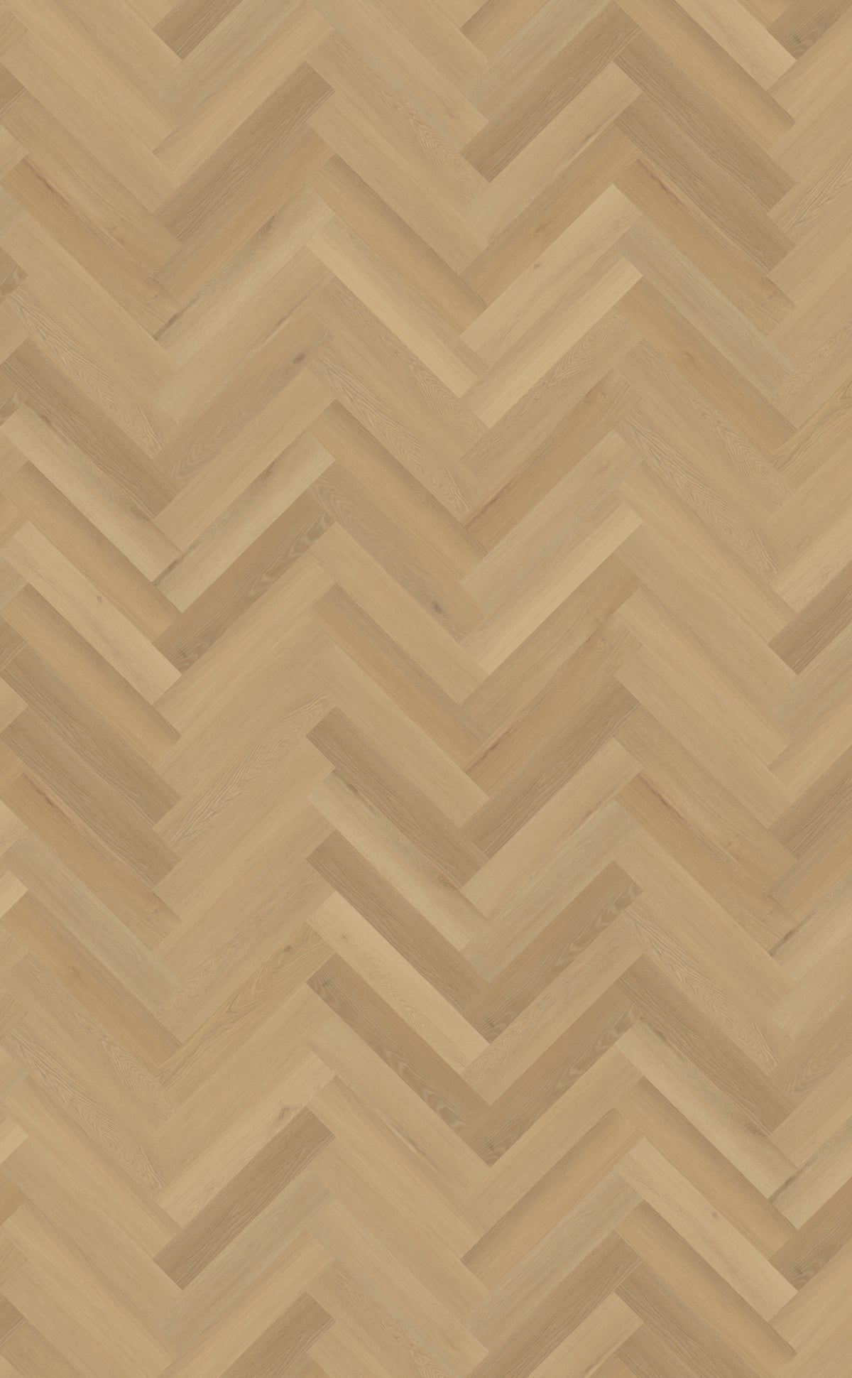 Belakos Borgo Visgraat XL 30 | Dryback Plak PVC